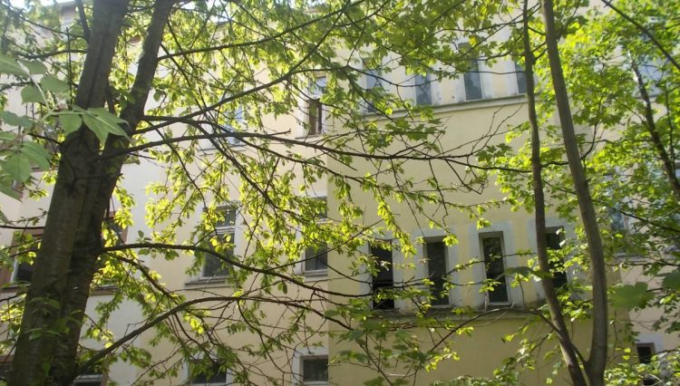 Rückseite des Hauses